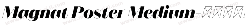 Magnat Poster Medium字体转换
